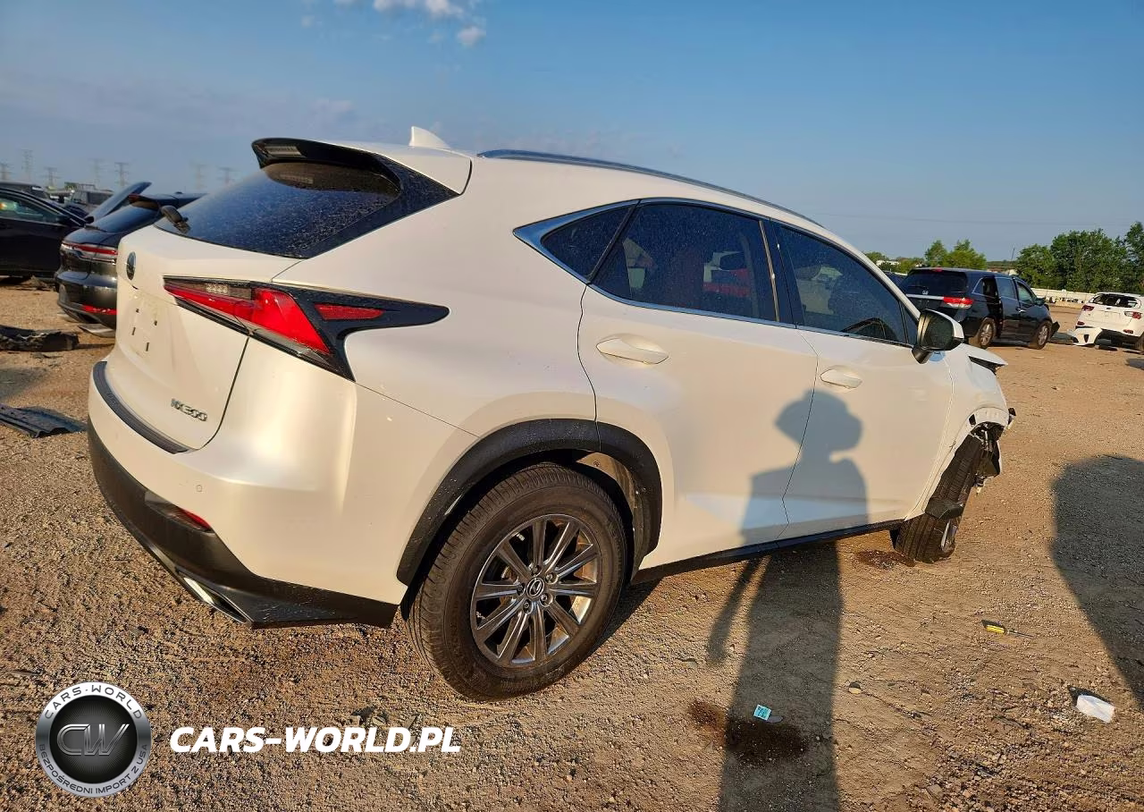 2019 Lexus Nx 300 Base VIN:JTJBARBZXK2216447 - 3
