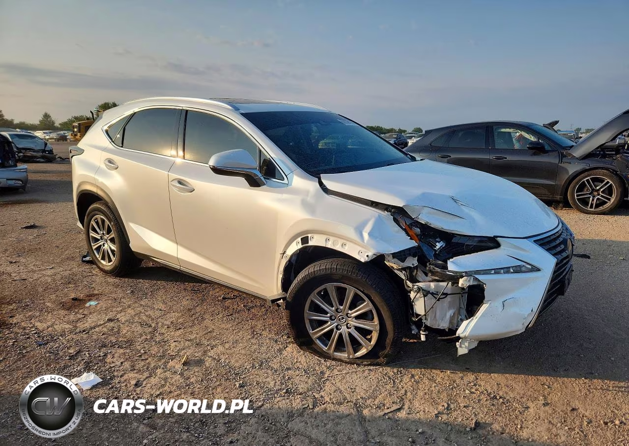 2019 Lexus Nx 300 Base VIN:JTJBARBZXK2216447 - 4