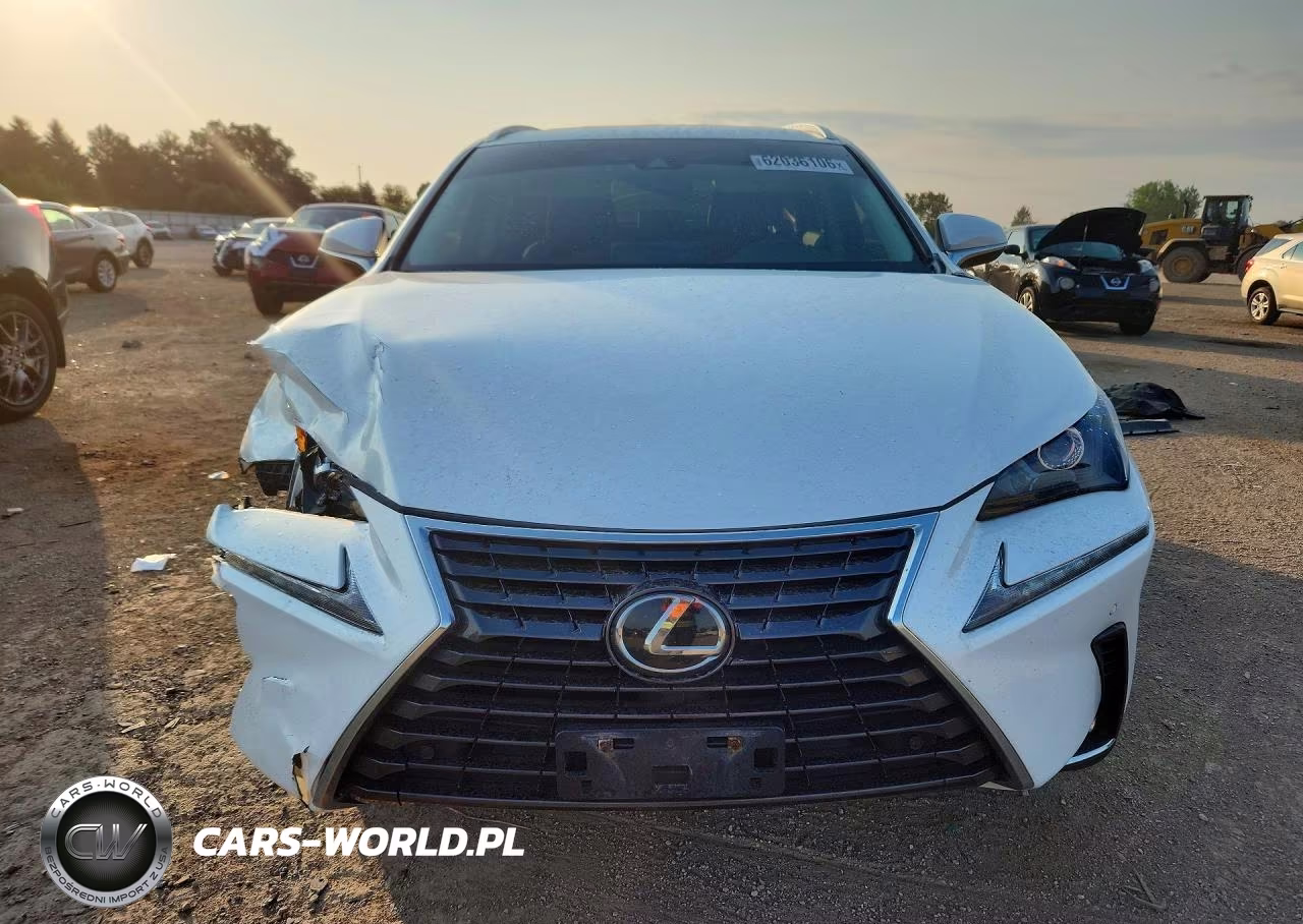 2019 Lexus Nx 300 Base VIN:JTJBARBZXK2216447 - 5