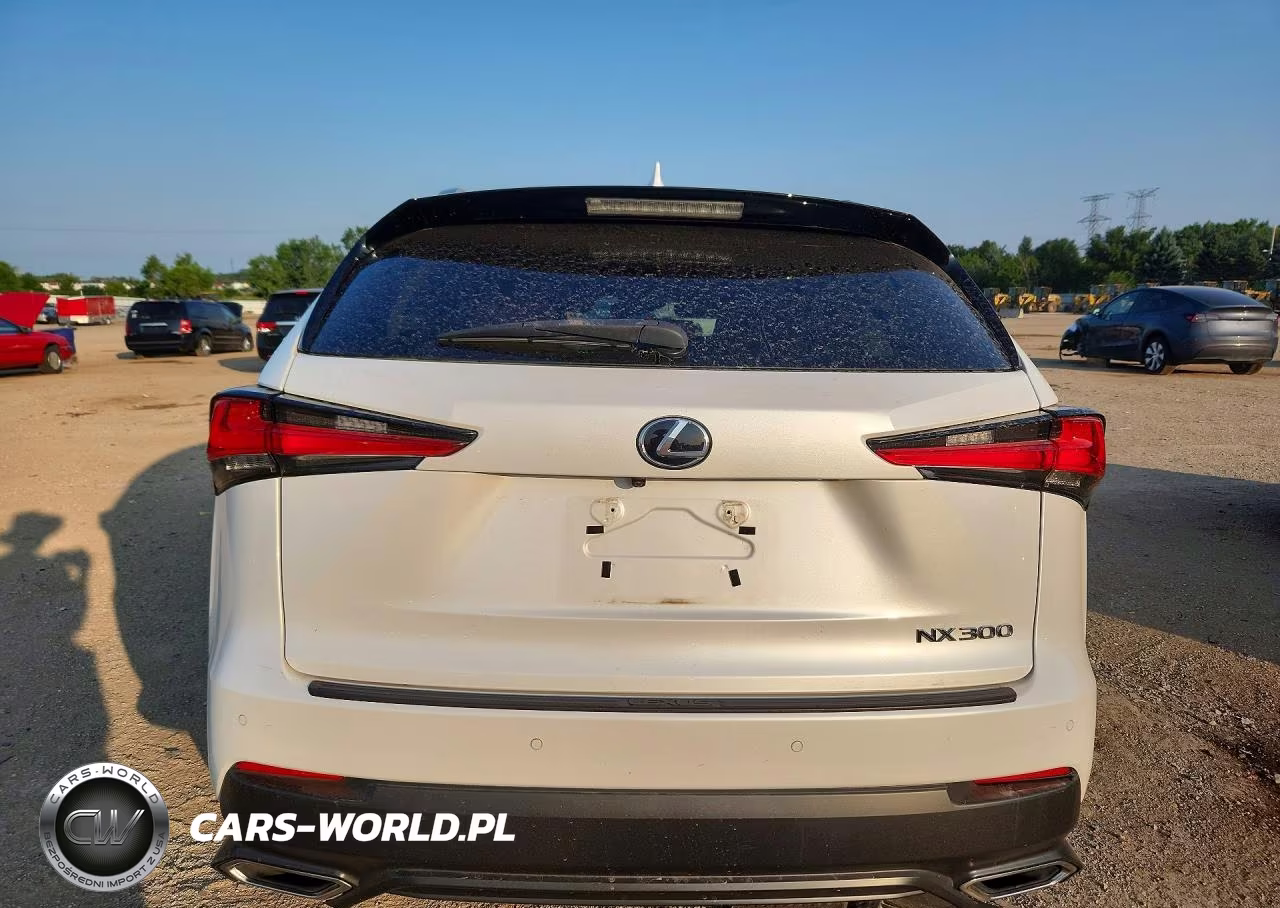 2019 Lexus Nx 300 Base VIN:JTJBARBZXK2216447 - 6