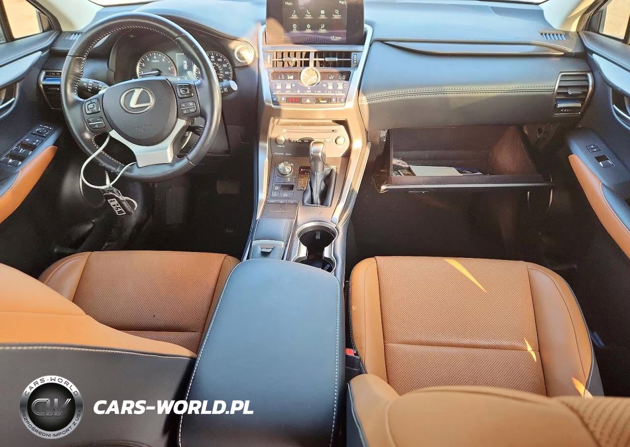 2019 Lexus Nx 300 Base VIN:JTJBARBZXK2216447 - 8