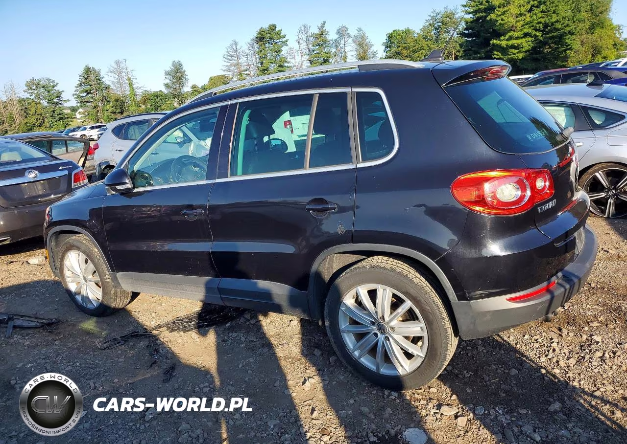 2011 Volkswagen Tiguan S VIN:WVGAV7AX1BW550801 - 2