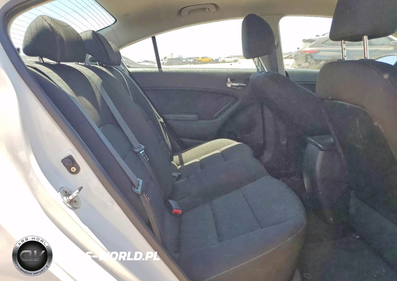 2016 Kia Forte Lx VIN:KNAFK4A62G5579095 - 10