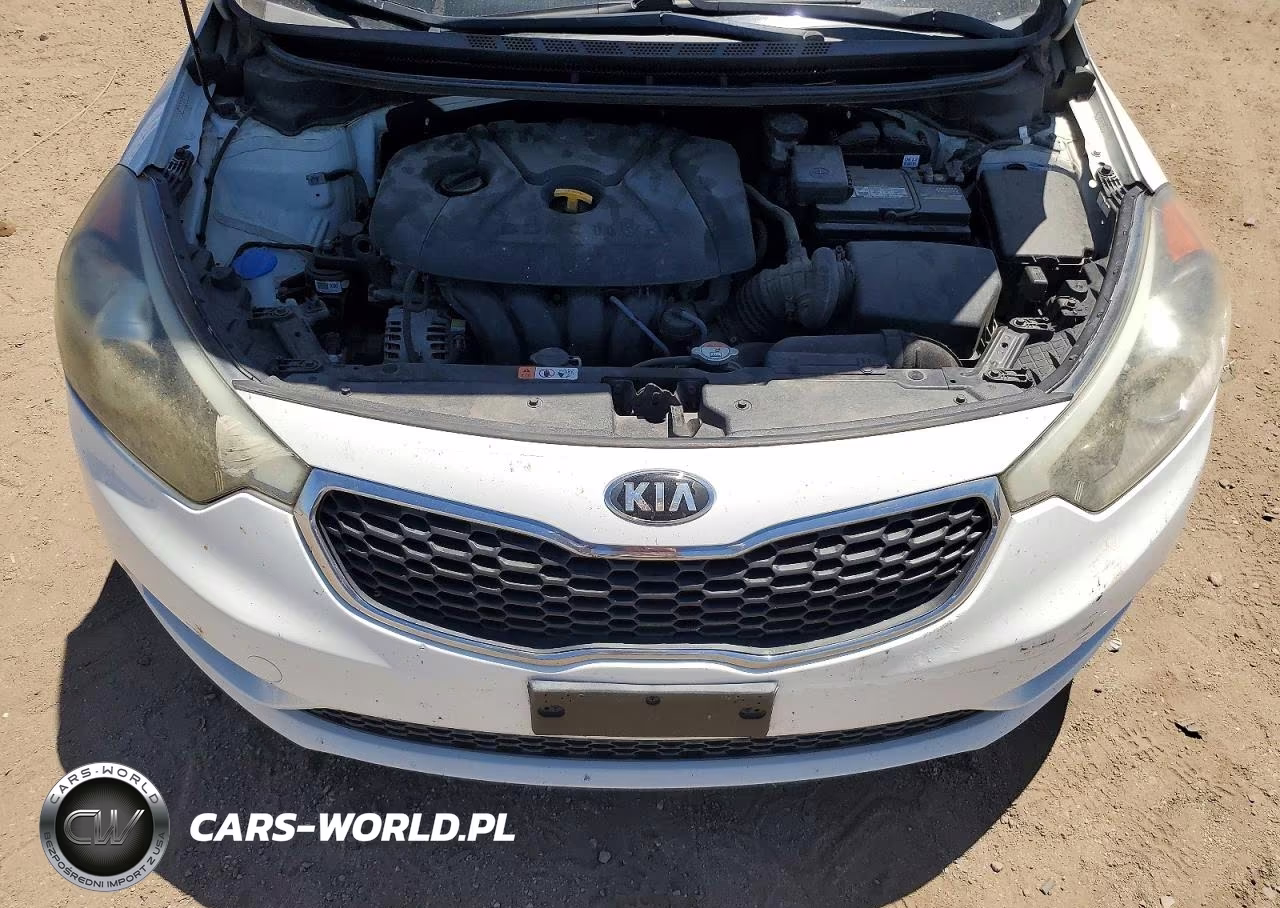 2016 Kia Forte Lx VIN:KNAFK4A62G5579095 - 11