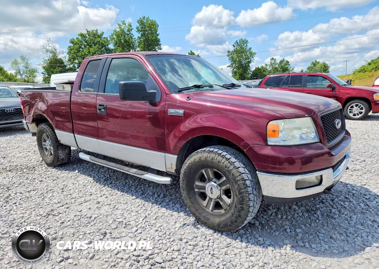 2005 Ford F150 VIN:1FTPX14565NA69212 - 4