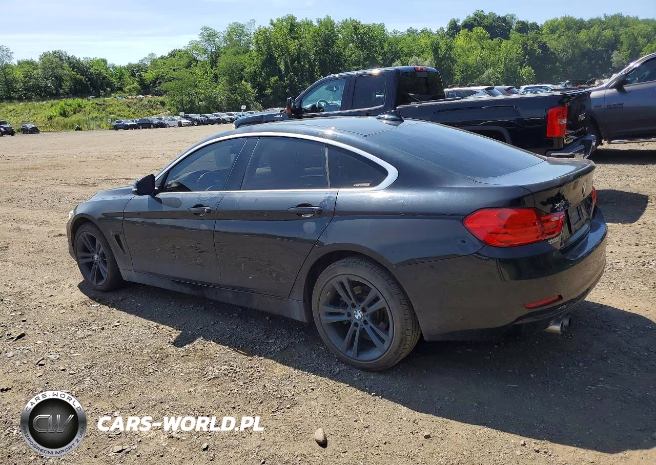 2017 BMW 430Xi Gran Coupe VIN:WBA4F9C59HG440391 - 2