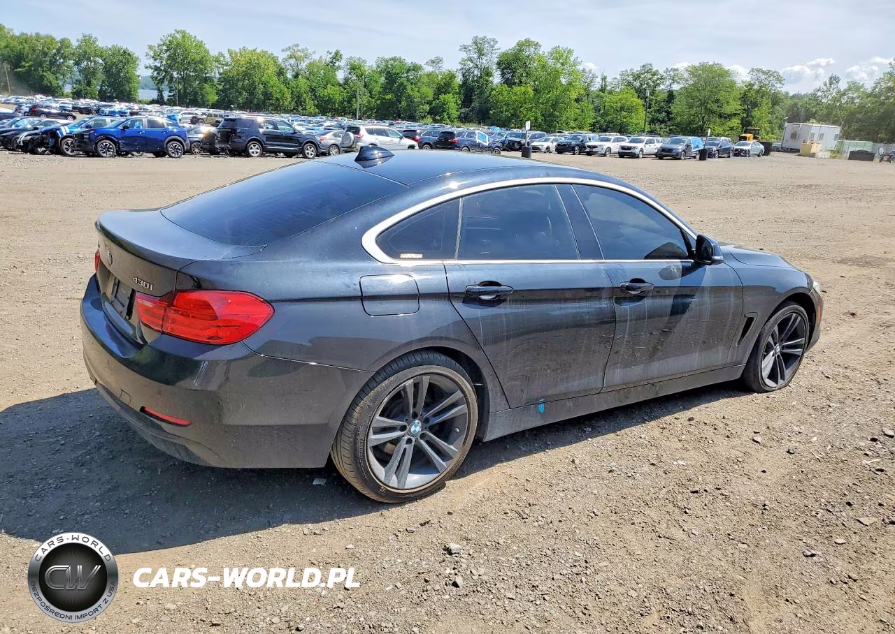 2017 BMW 430Xi Gran Coupe VIN:WBA4F9C59HG440391 - 3