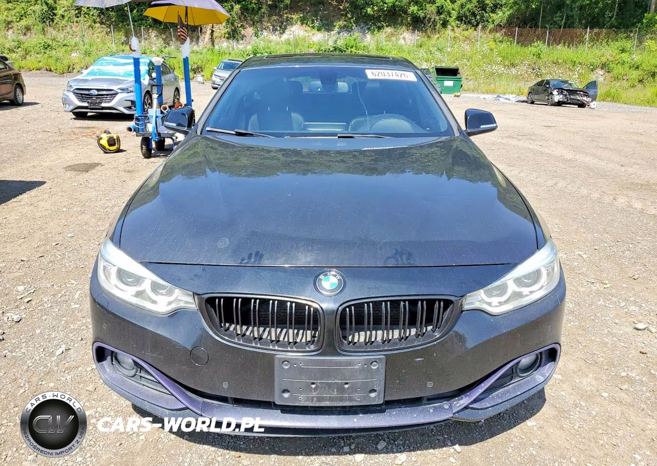 2017 BMW 430Xi Gran Coupe VIN:WBA4F9C59HG440391 - 5