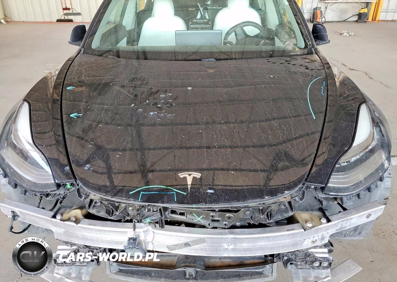 2021 Tesla Model 3 VIN:5YJ3E1EA4MF861646 - 11