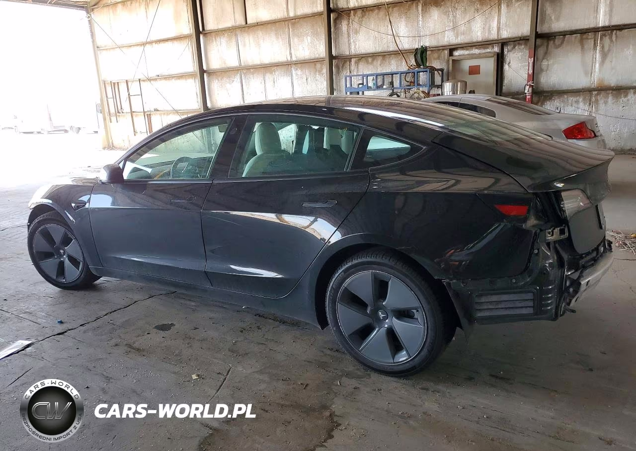 2021 Tesla Model 3 VIN:5YJ3E1EA4MF861646 - 2