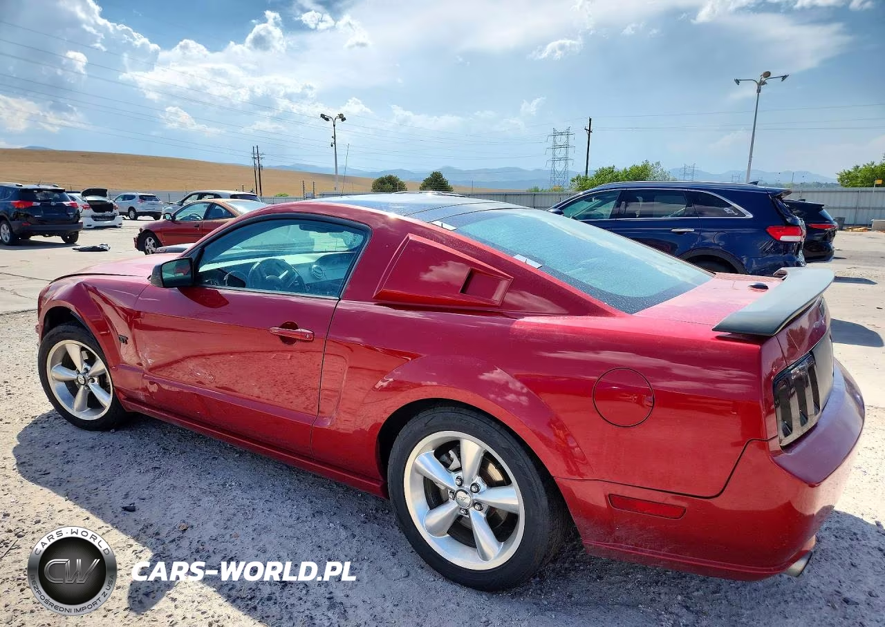 2009 Ford Mustang Gt VIN:1ZVHT82H695142510 - 2