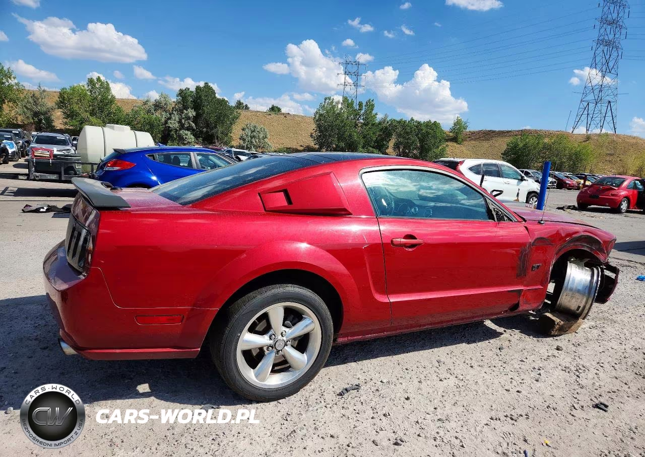 2009 Ford Mustang Gt VIN:1ZVHT82H695142510 - 3