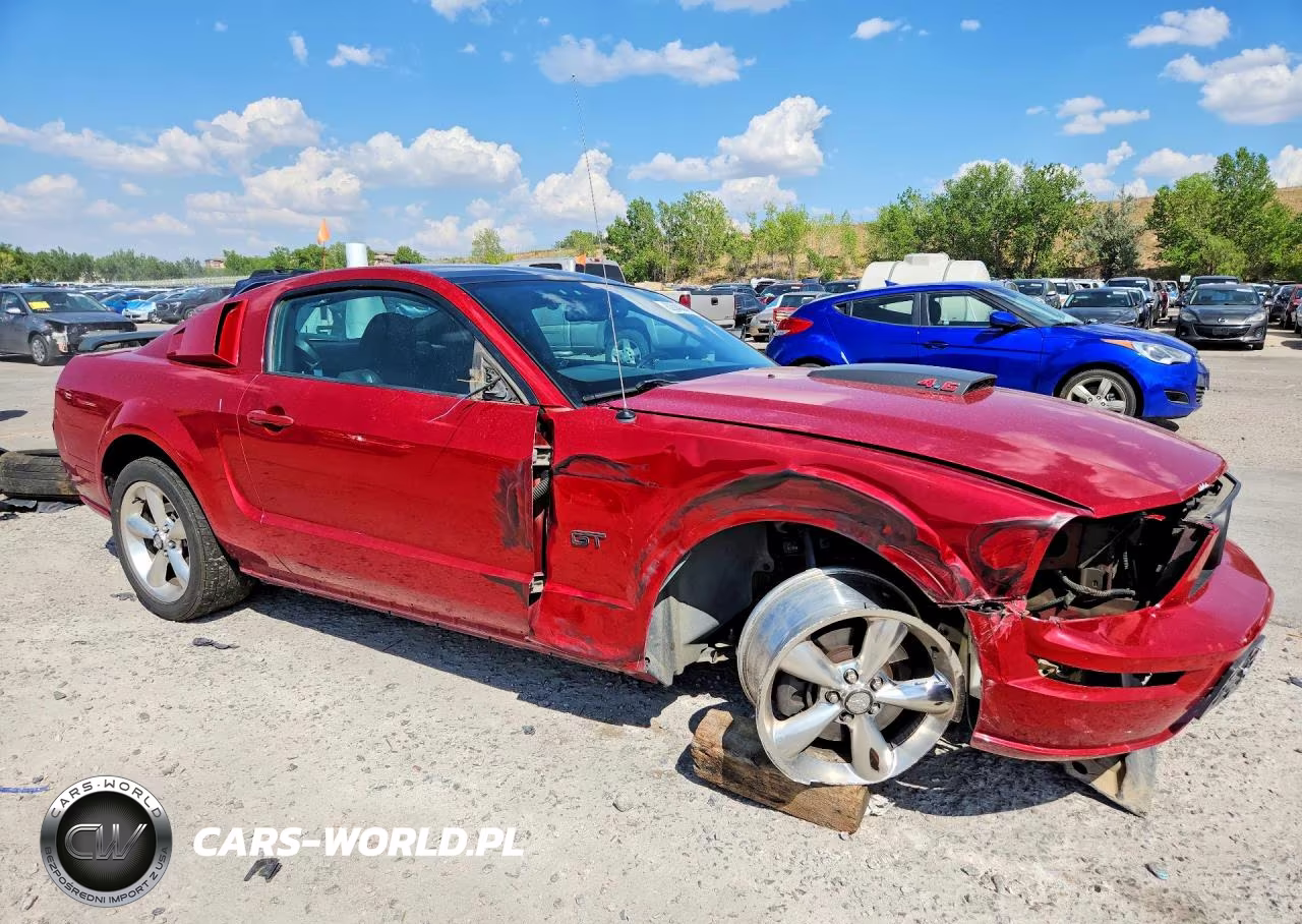 2009 Ford Mustang Gt VIN:1ZVHT82H695142510 - 4