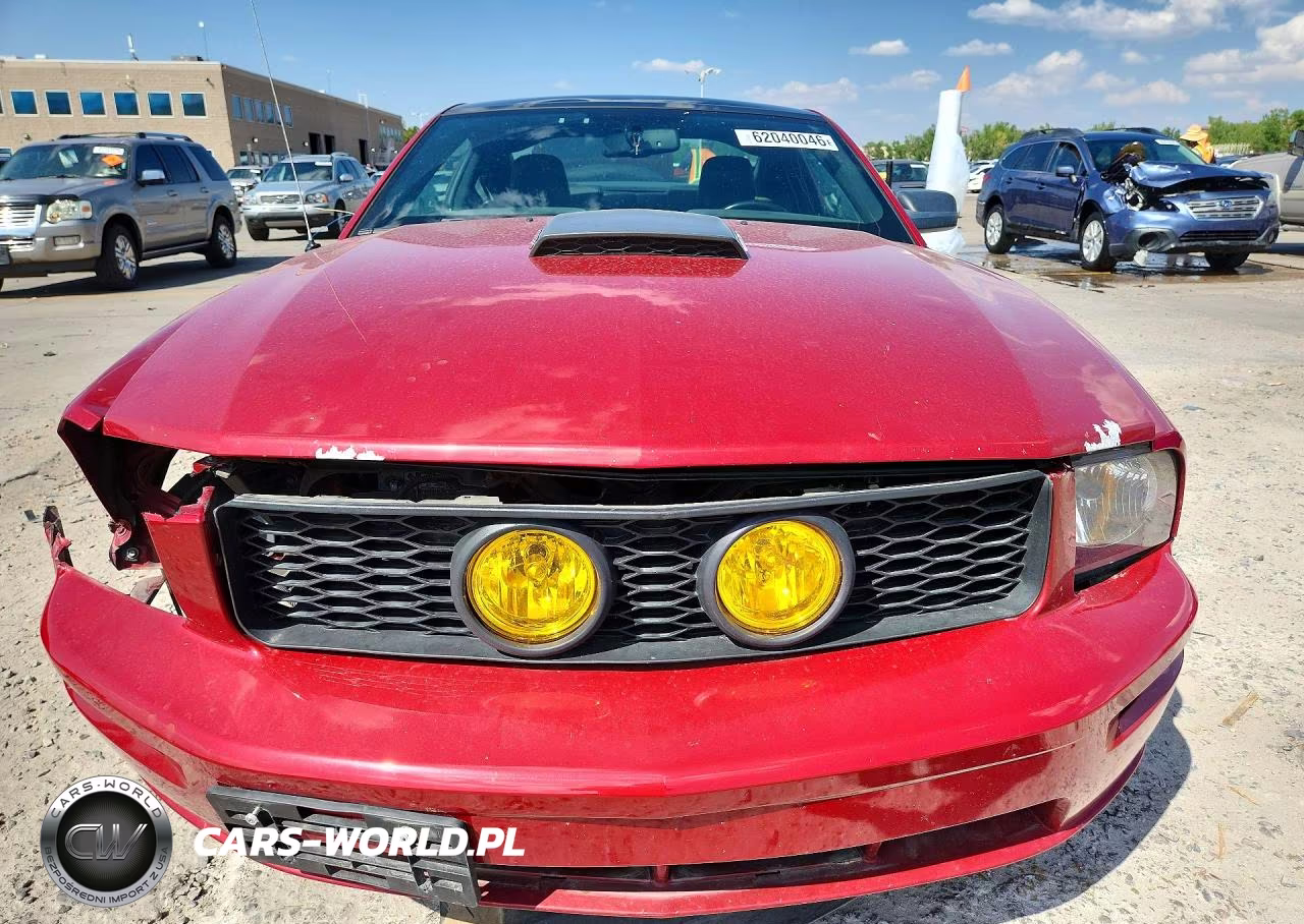2009 Ford Mustang Gt VIN:1ZVHT82H695142510 - 5