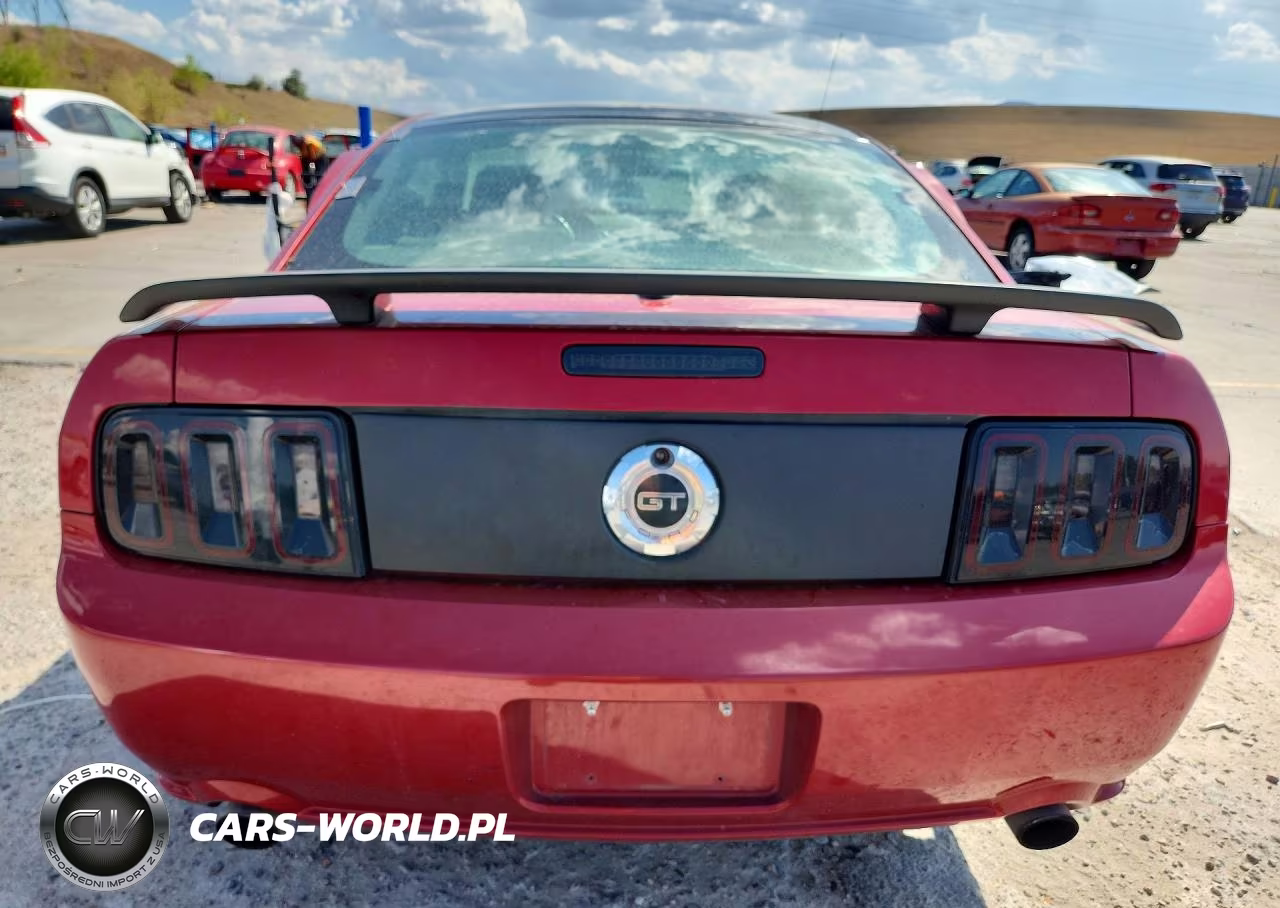 2009 Ford Mustang Gt VIN:1ZVHT82H695142510 - 6