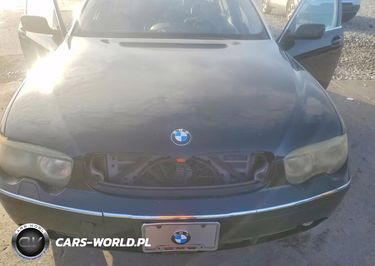 2003 BMW 760 Li VIN:WBAGN83483DK10207 - 11