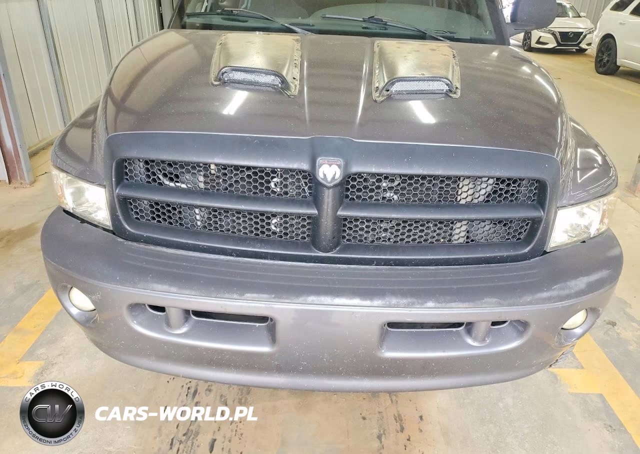1999 Dodge Ram 1500 VIN:1B7HF13Z6XJ621636 - 11