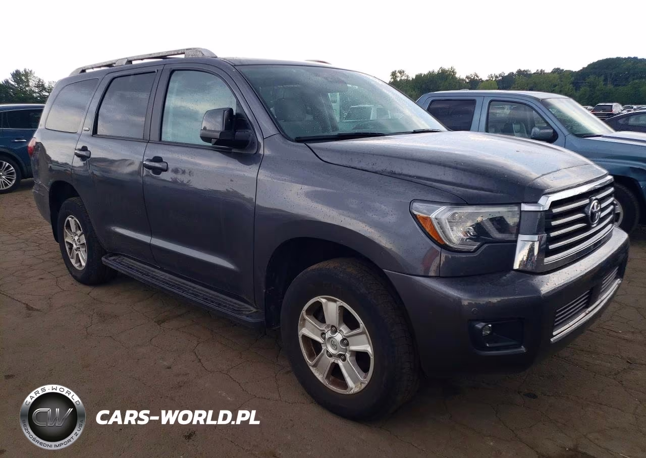 2018 Toyota Sequoia Sr5 VIN:5TDBY5G13JS164693 - 4