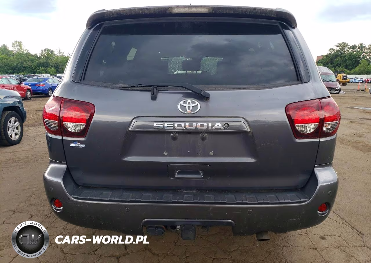 2018 Toyota Sequoia Sr5 VIN:5TDBY5G13JS164693 - 6