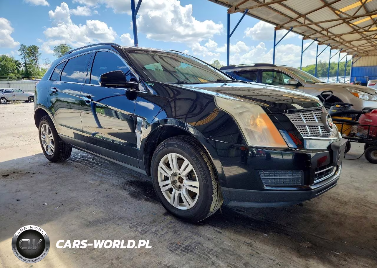 2010 Cadillac Srx VIN:3GYFNGEY1AS642847 - 4