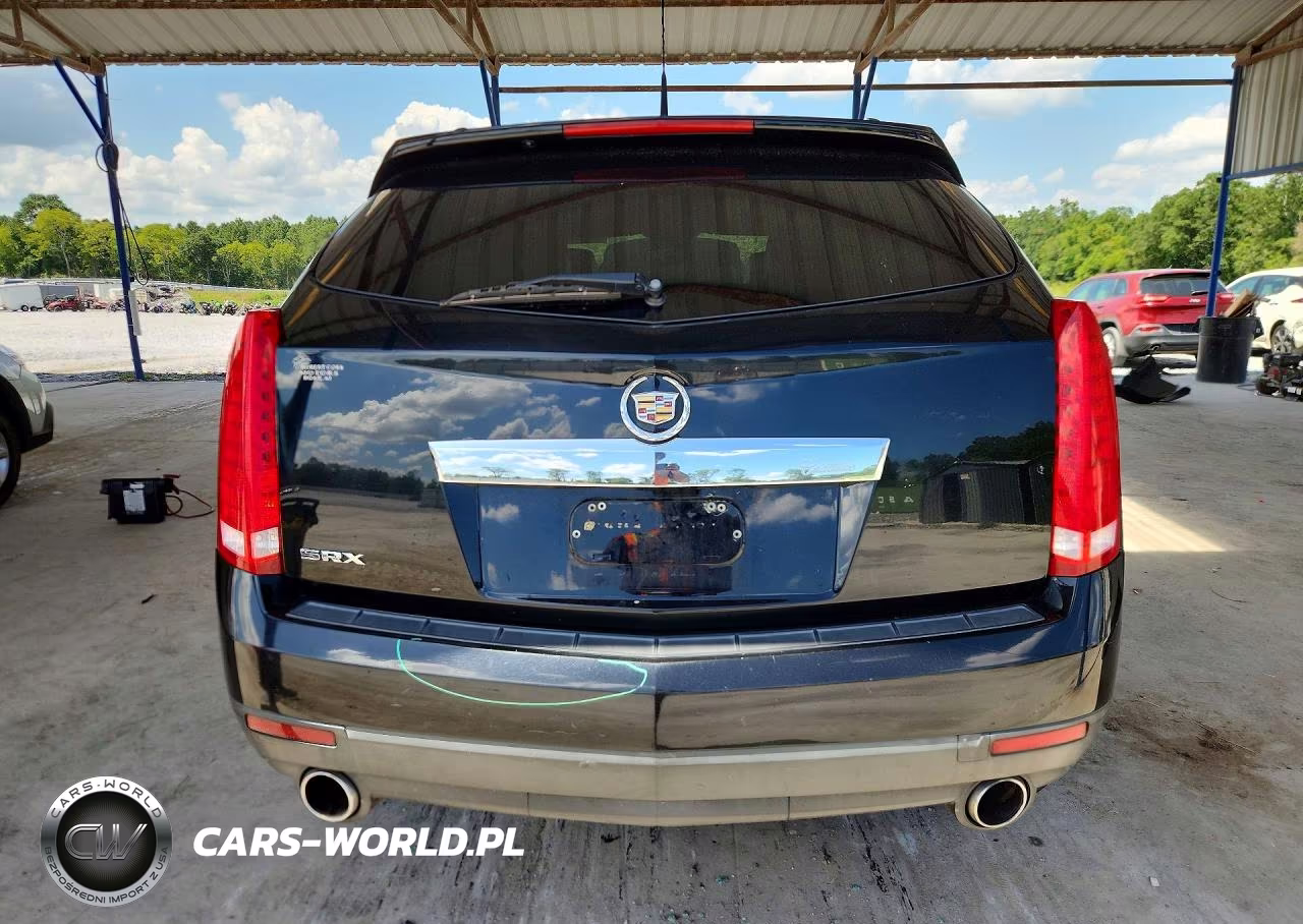2010 Cadillac Srx VIN:3GYFNGEY1AS642847 - 6
