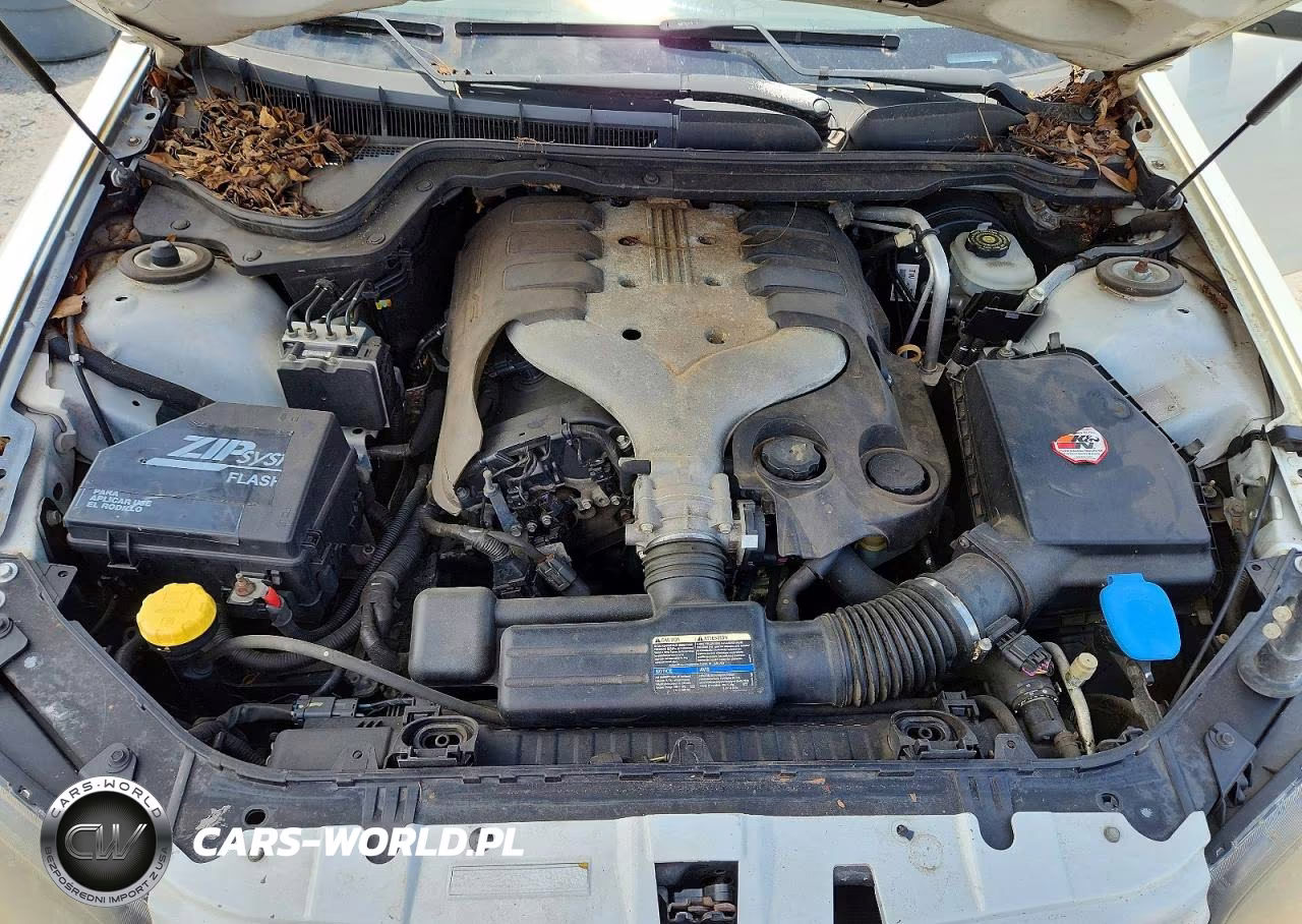 2008 Pontiac G8 VIN:6G2ER57768L133116 - 11