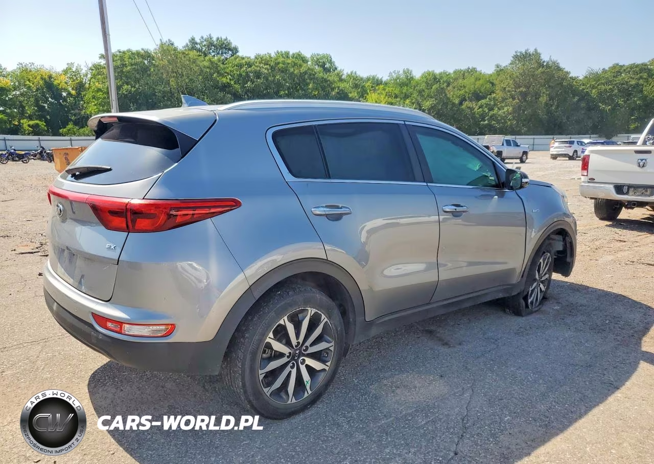 2019 Kia Sportage Ex VIN:KNDPNCAC7K7583199 - 3