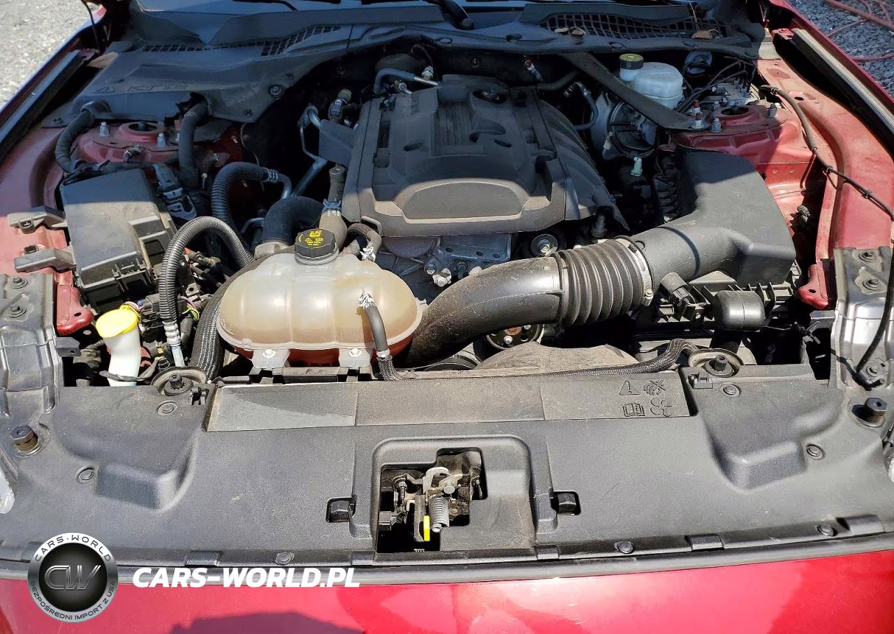 2019 Ford Mustang VIN:1FATP8UH3K5116263 - 11
