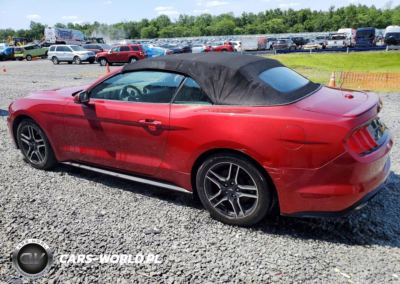 2019 Ford Mustang VIN:1FATP8UH3K5116263 - 2