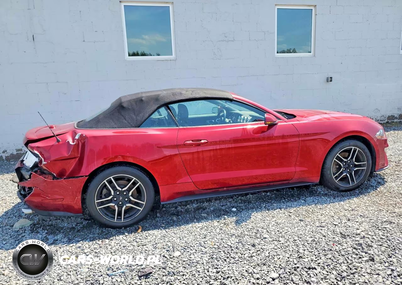 2019 Ford Mustang VIN:1FATP8UH3K5116263 - 3