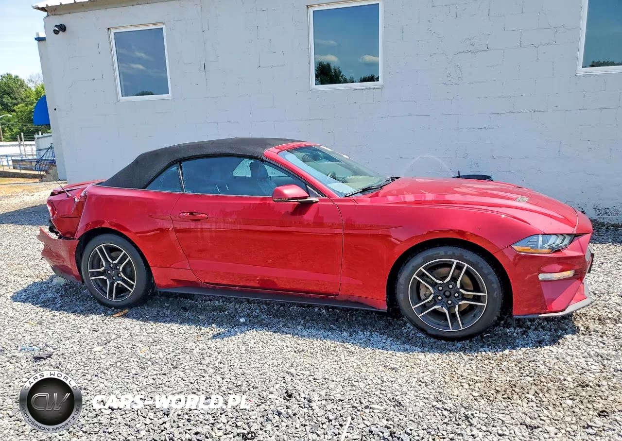 2019 Ford Mustang VIN:1FATP8UH3K5116263 - 4
