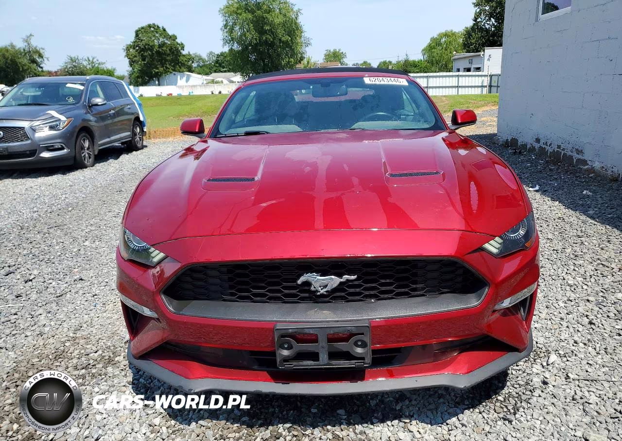 2019 Ford Mustang VIN:1FATP8UH3K5116263 - 5