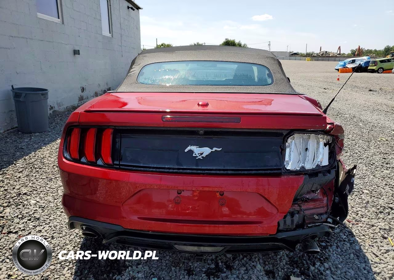 2019 Ford Mustang VIN:1FATP8UH3K5116263 - 6