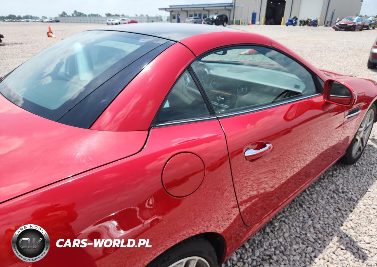 2014 Mercedes-Benz Slk 250 VIN:WDDPK4HA8EF085967 - 10
