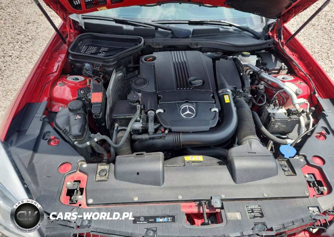 2014 Mercedes-Benz Slk 250 VIN:WDDPK4HA8EF085967 - 11