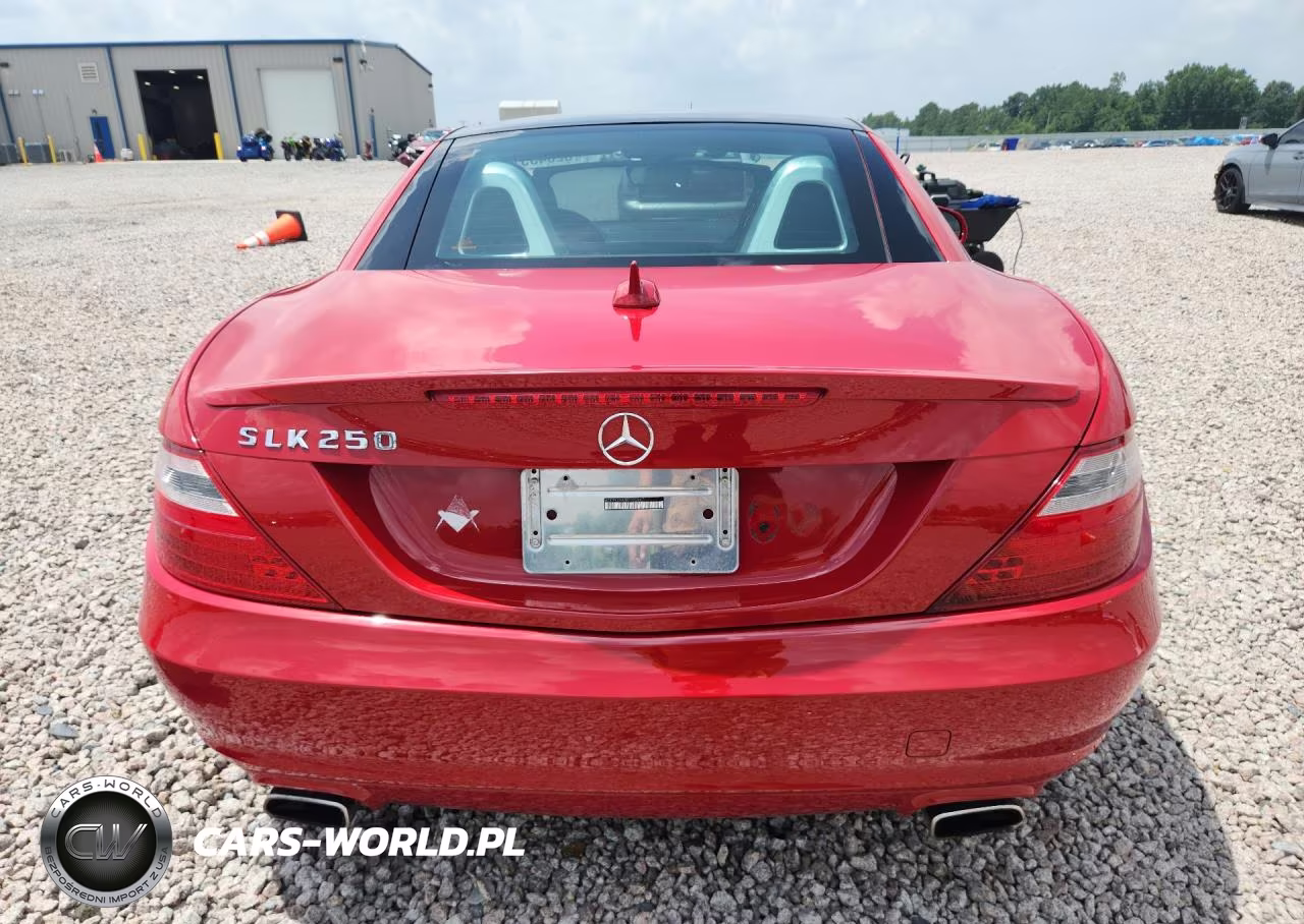 2014 Mercedes-Benz Slk 250 VIN:WDDPK4HA8EF085967 - 6