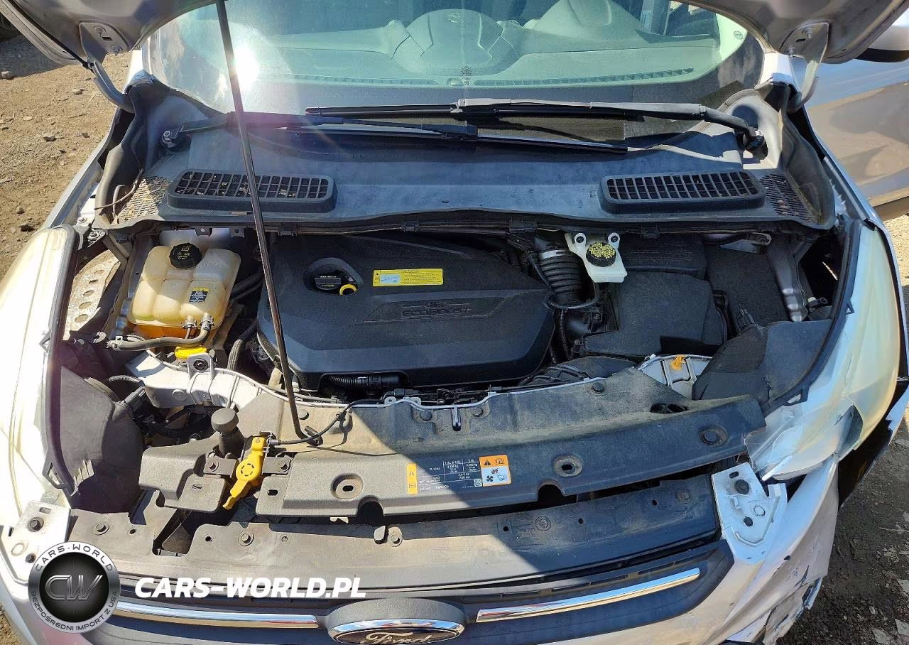 2013 Ford Escape Se VIN:1FMCU0GX2DUC20433 - 12
