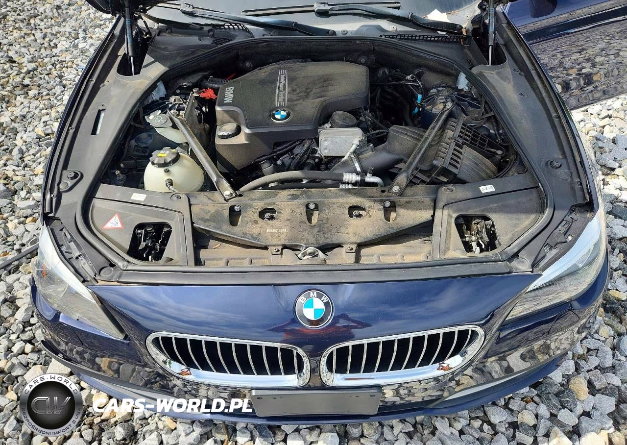 2014 BMW 528 Xi VIN:WBA5A7C53ED618509 - 11