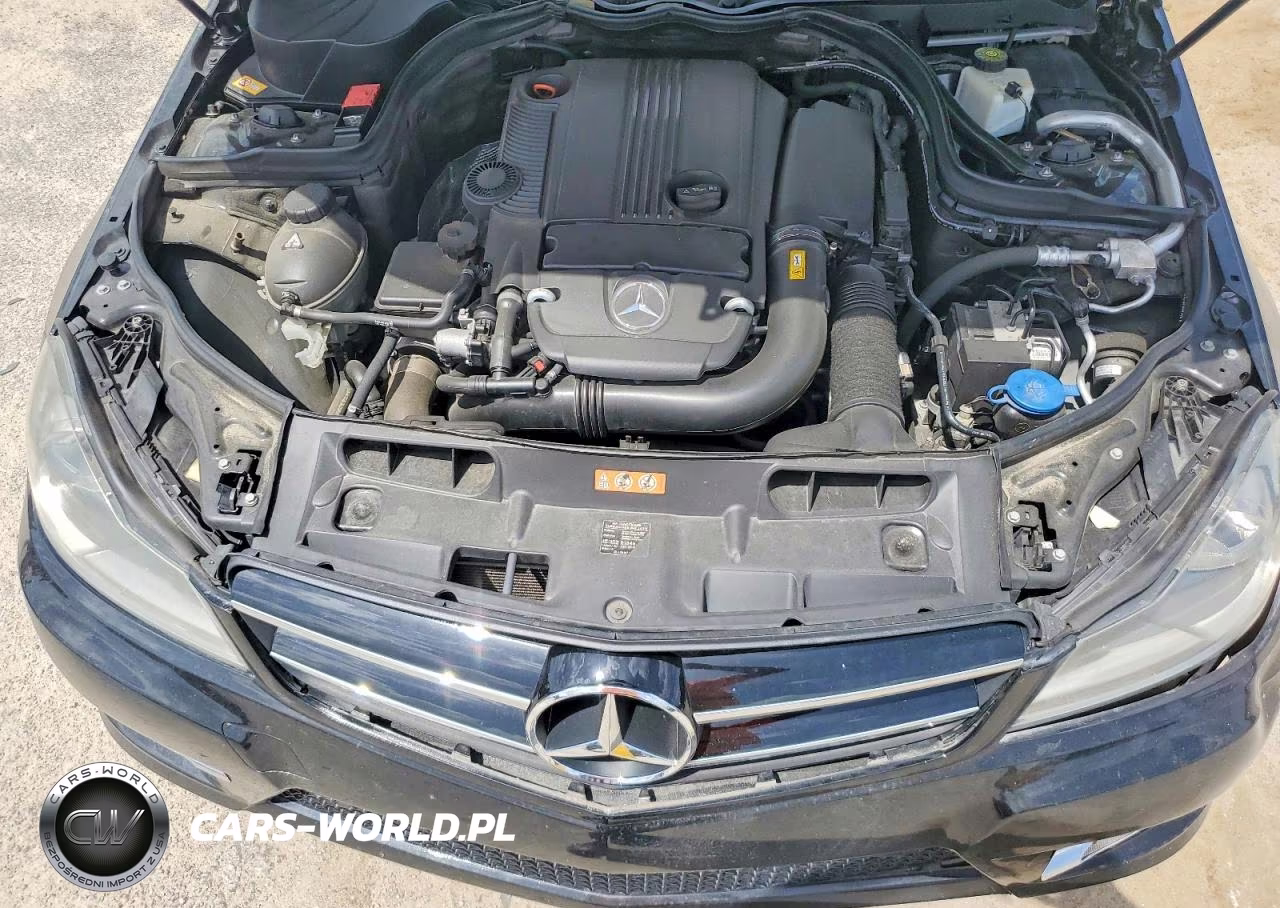 2014 Mercedes-Benz C 250 VIN:WDDGJ4HB5EG200708 - 11