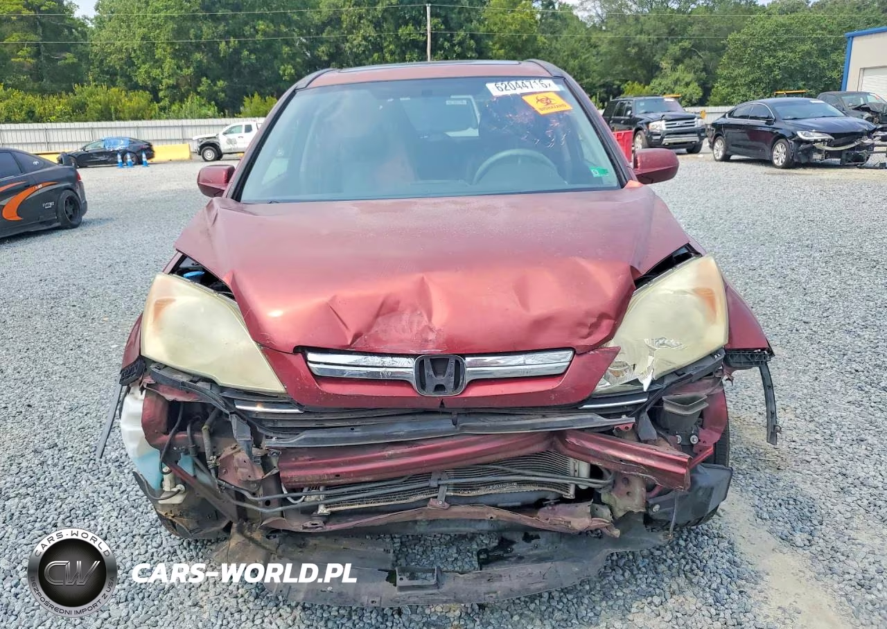 2009 Honda Cr-V Exl VIN:5J6RE38759L035702 - 5