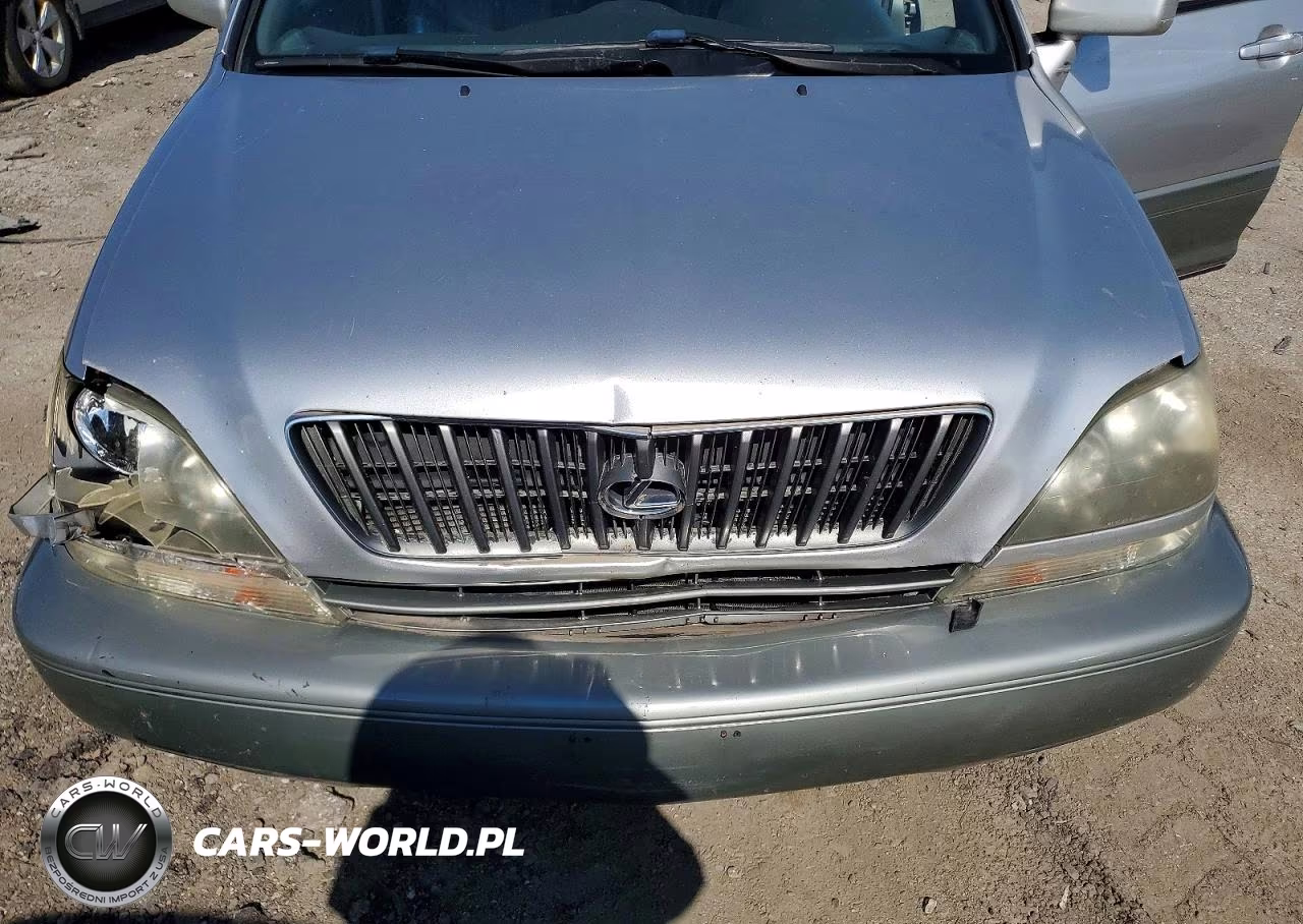 2000 Lexus Rx 300 VIN:JT6HF10U9Y0114138 - 12