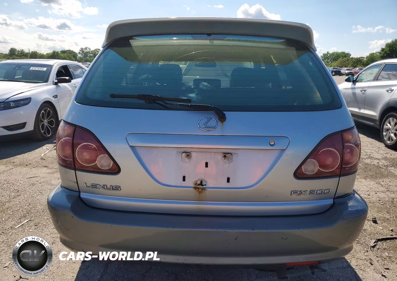 2000 Lexus Rx 300 VIN:JT6HF10U9Y0114138 - 6
