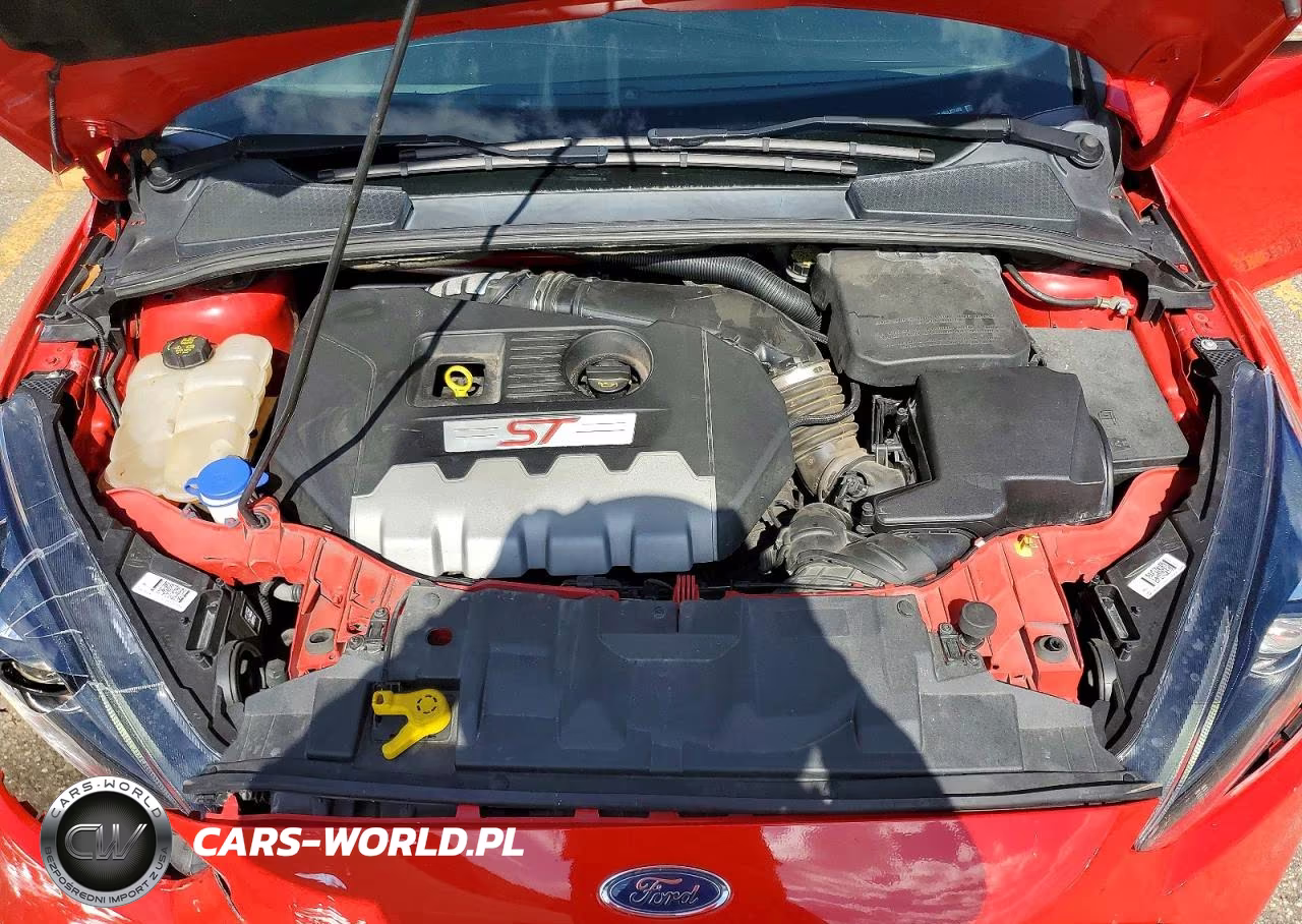 2016 Ford Focus St VIN:1FADP3L96GL227409 - 11