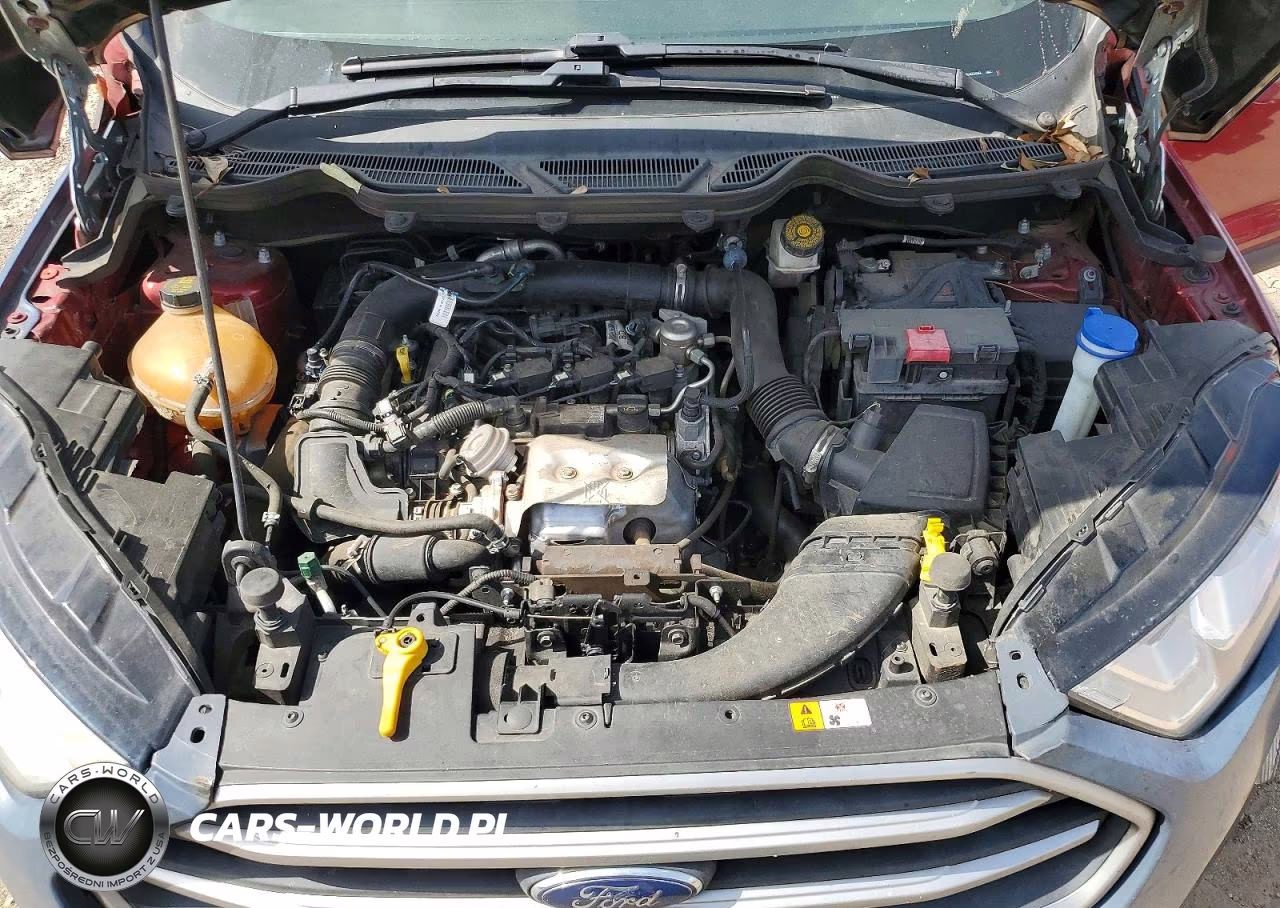 2021 Ford Ecosport Se VIN:MAJ3S2GE0MC422493 - 12