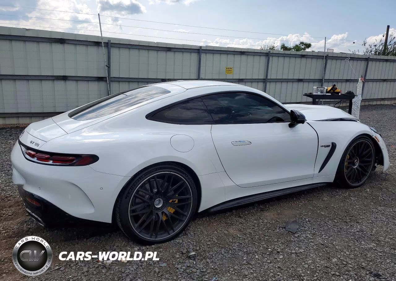2024 Mercedes-Benz Amg Gt 55 VIN:W1KRJ8AB3RF002277 - 3