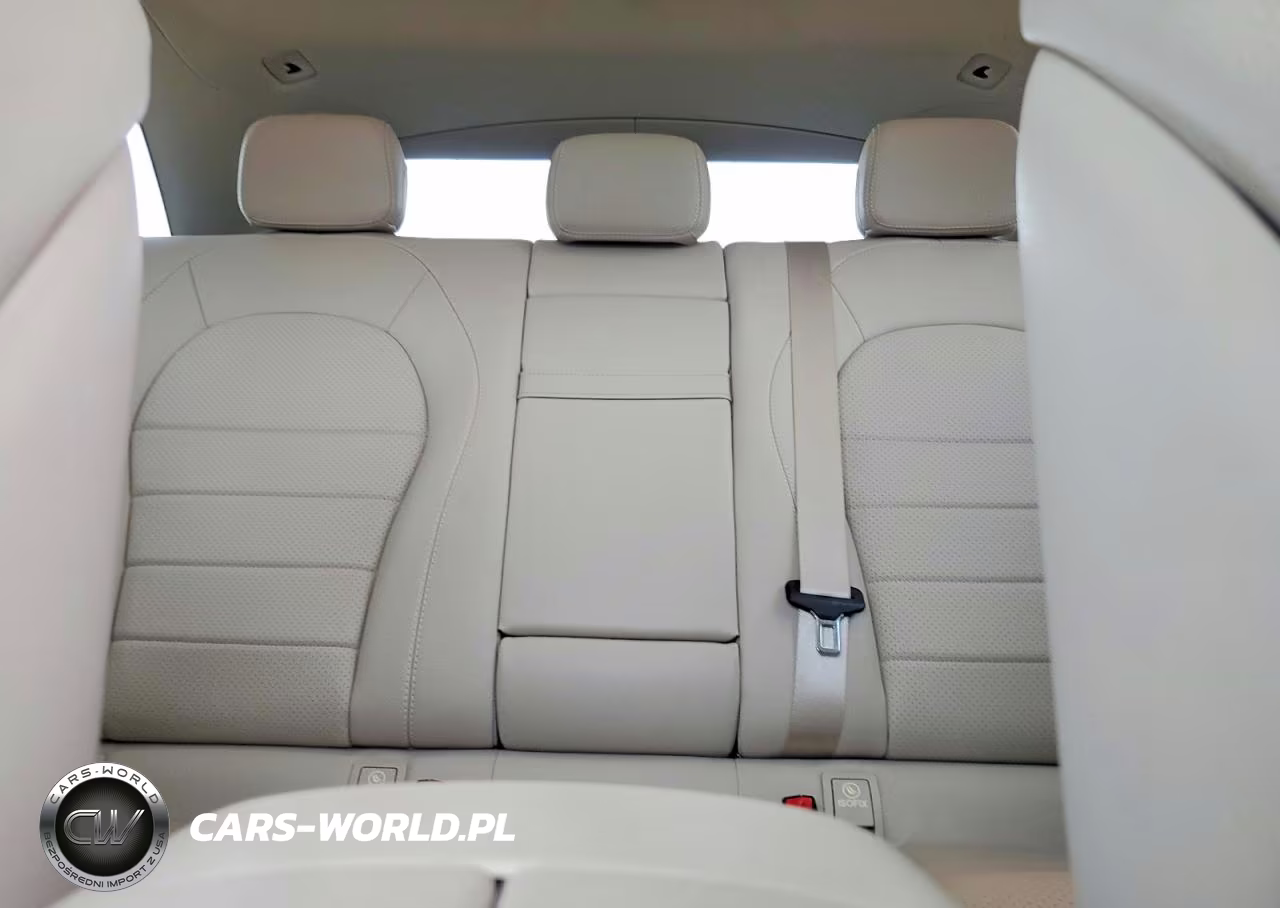 2021 Mercedes-Benz Glc 300 VIN:W1N0G8DB0MV300399 - 10