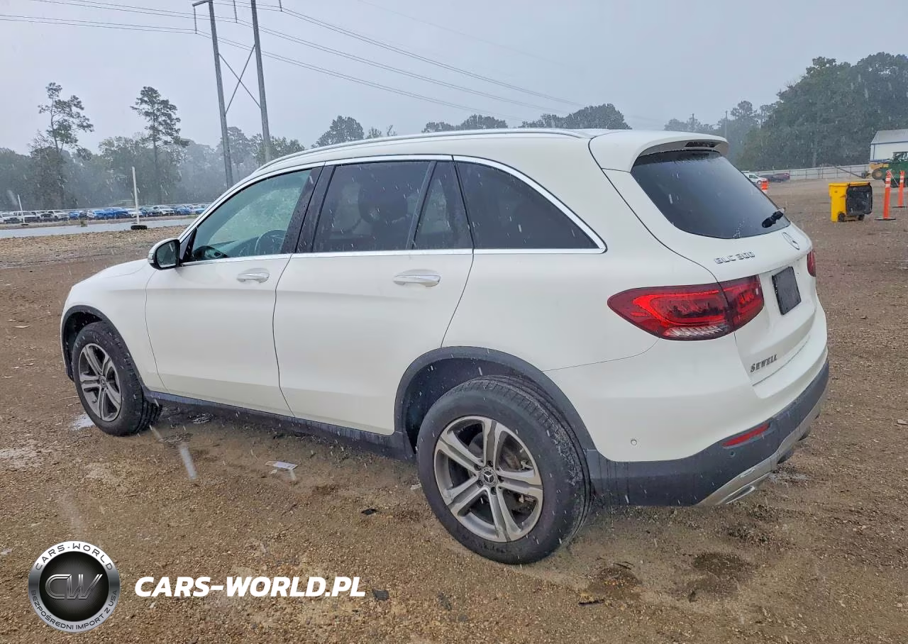 2021 Mercedes-Benz Glc 300 VIN:W1N0G8DB0MV300399 - 2