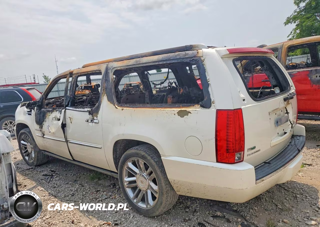 2010 Cadillac Escalade Esv Platinum VIN:1GYUKKEFXAR273135 - 2
