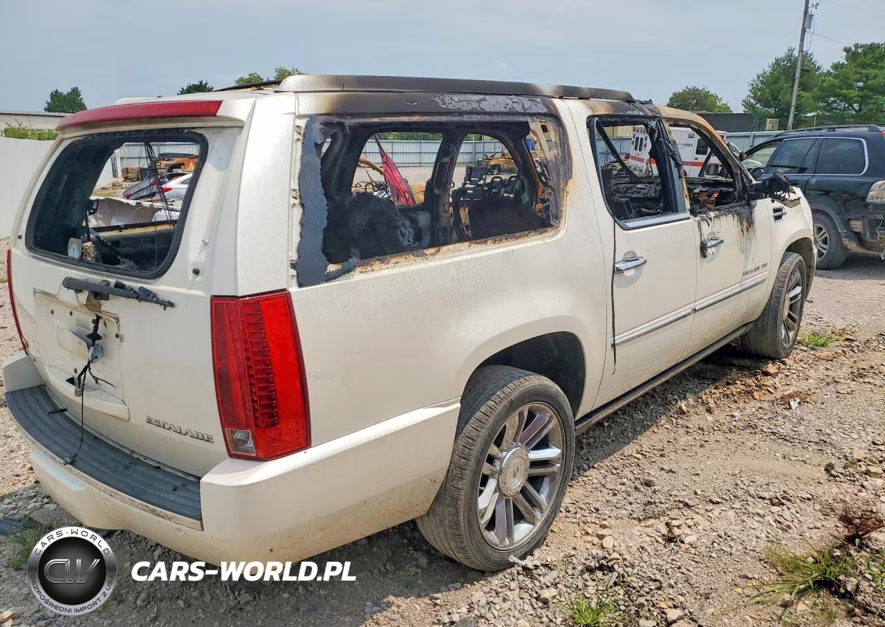 2010 Cadillac Escalade Esv Platinum VIN:1GYUKKEFXAR273135 - 3