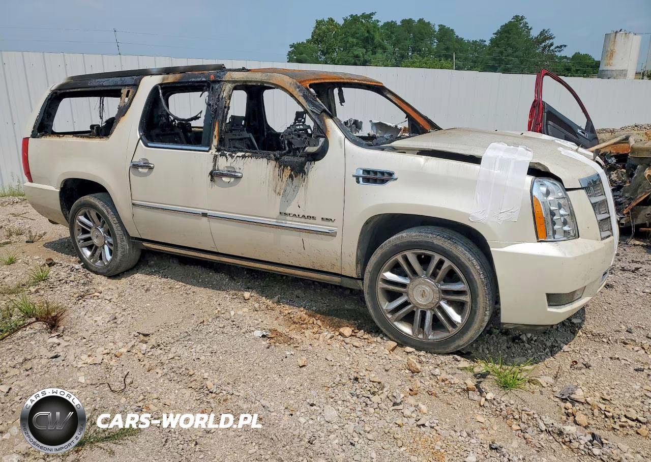 2010 Cadillac Escalade Esv Platinum VIN:1GYUKKEFXAR273135 - 4